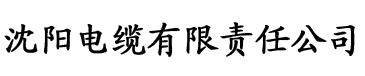 理论片免费看高清电缆厂logo